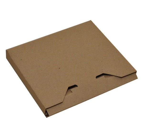 CD One Piece Postage & Mailing Box