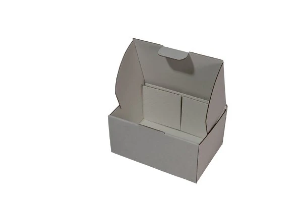One Piece Mailing Gift Box 28736 [Express Value Buy] - Image 6