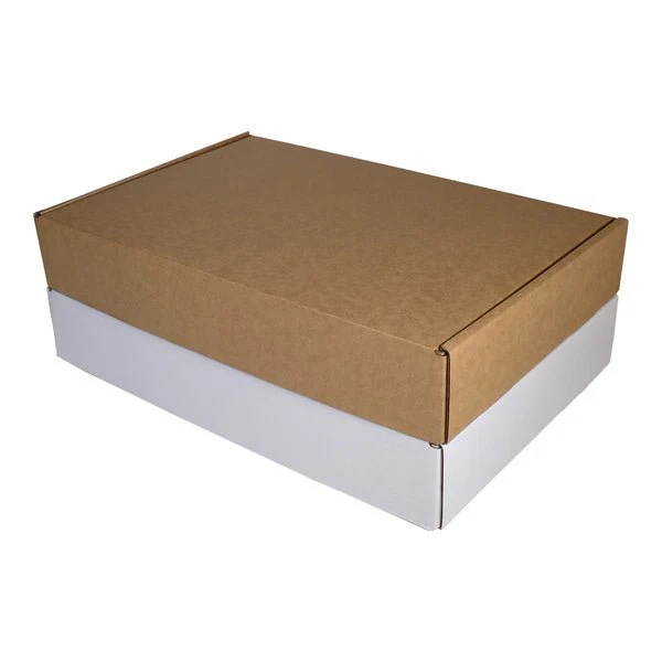One Piece Postage & Mailing Box 20444 - Image 4