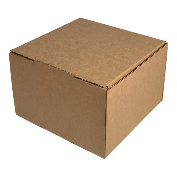 One Piece Postage & Mailing Box 22937