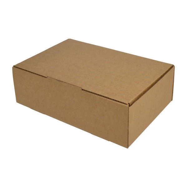 One Piece Postage & Mailing Box 24098