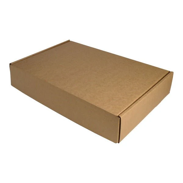 One Piece Postage & Mailing Box 24104