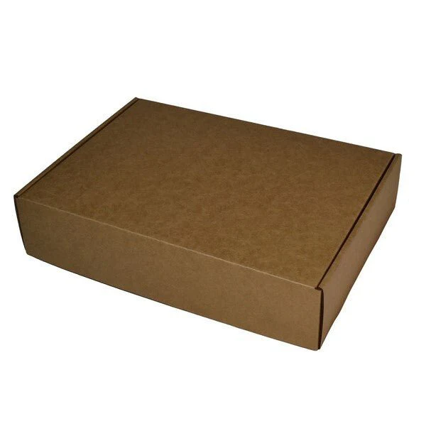 Premium A4 Gift Mailer 28795 [Express Value Buy]