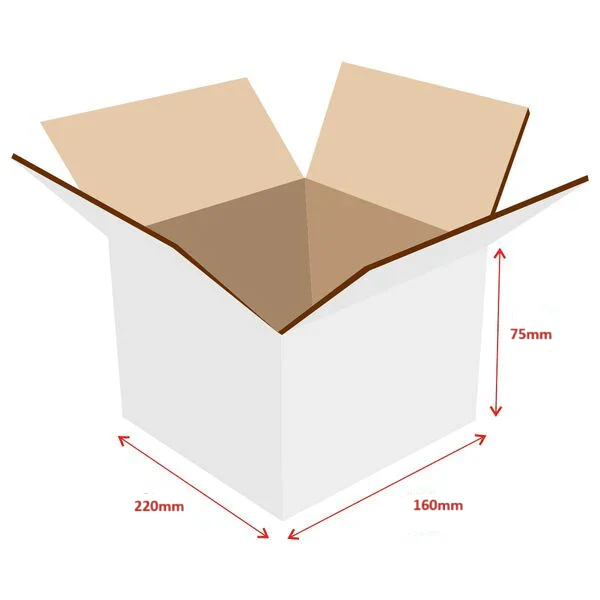 RSC Shipping Carton 33611 - 100% Recyclable - Image 2