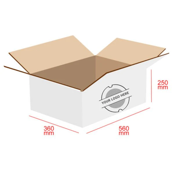RSC Shipping Carton T4 - Image 5