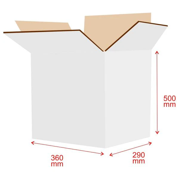 RSC Shipping Carton Tall Closure - Image 2