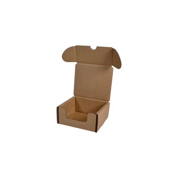 SAMPLE - B Flute - 2 Beer Can Shipper Box - Kraft Brown - Image 2
