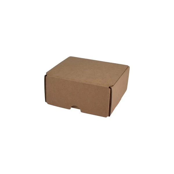 SAMPLE - B Flute - 2 Beer Can Shipper Box - Kraft Brown - Image 3