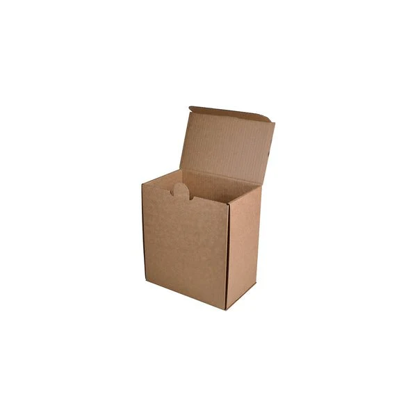 SAMPLE - B Flute - 6 Beer Bottle Shipping Box (insert sold separately 700-24788) - Kraft Brown - Image 2