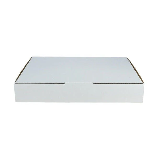 SAMPLE - B Flute - Large Post Box for 5kg Post Satchel - Kraft White