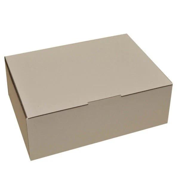 SAMPLE - B Flute - Large Postage Box - Kraft White  (BXP4)
