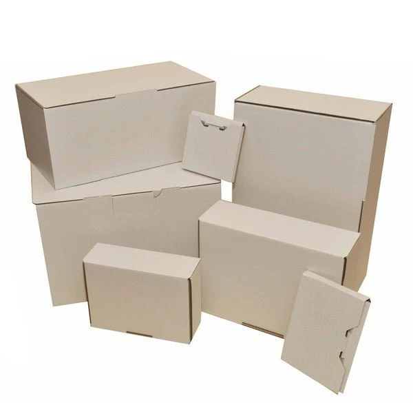 SAMPLE - B Flute - Large Postage Box - Kraft White  (BXP4) - Image 2