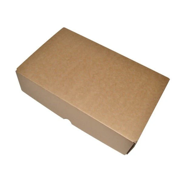 SAMPLE - B Flute - One Piece Heavy Duty Double Wine Postage Box - Kraft Brown (Inserts sold separately 24988)