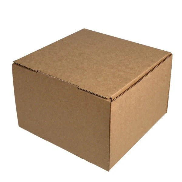 SAMPLE - B Flute - One Piece Postage & Mailing Box 22937 - Kraft Brown