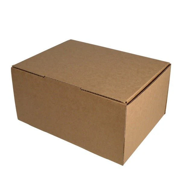 SAMPLE - B Flute - One Piece Postage & Mailing Box 23073 - Kraft Brown