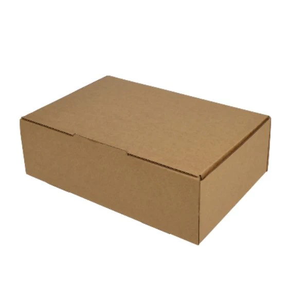 SAMPLE - B Flute - One Piece Postage & Mailing Box 24098 - Kraft Brown
