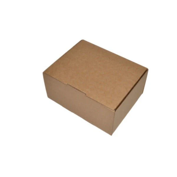 SAMPLE - B Flute - One Piece Postage & Mailing Box 24991 - Kraft Brown