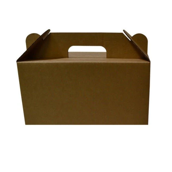 SAMPLE - B Flute - Small Delivery Surprise Box 8671 - Kraft Brown