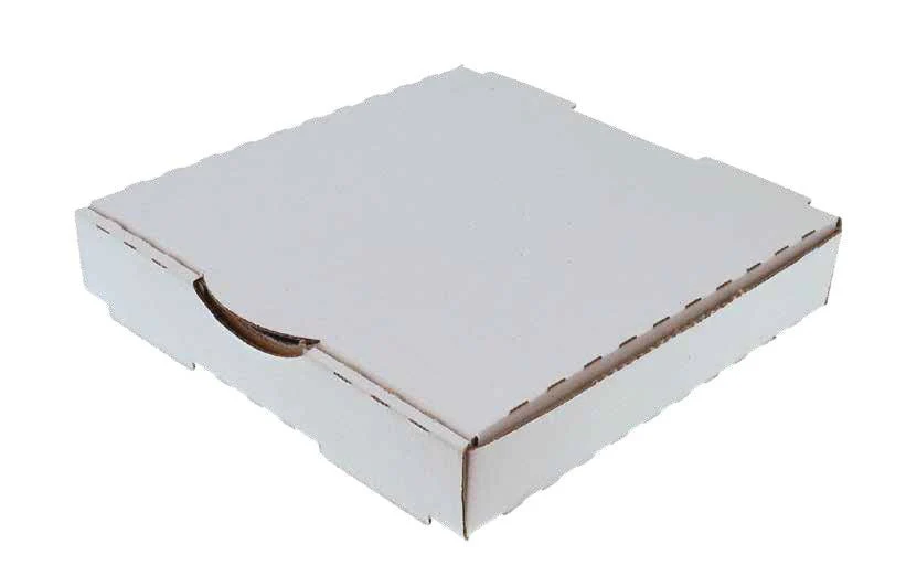 SAMPLE - Budget One Piece Pizza Box 9 Inch
