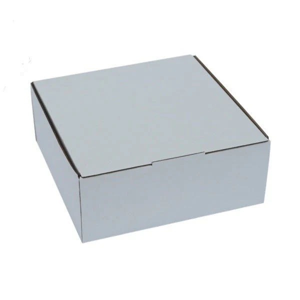SAMPLE - E Flute - One Piece Cardboard Box 16870 [4 Donut & Cake] - Kraft White
