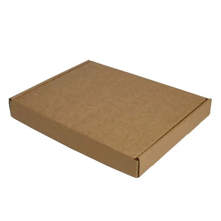 SAMPLE - E flute - One Piece Mailing Gift Box 24145