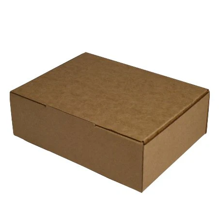 SAMPLE - E flute - One Piece Mailing Gift Box 24255