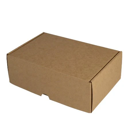 SAMPLE - E flute - One Piece Mailing Gift Box 25012