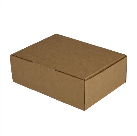 SAMPLE - E flute - One Piece Mailing Gift Box 25942