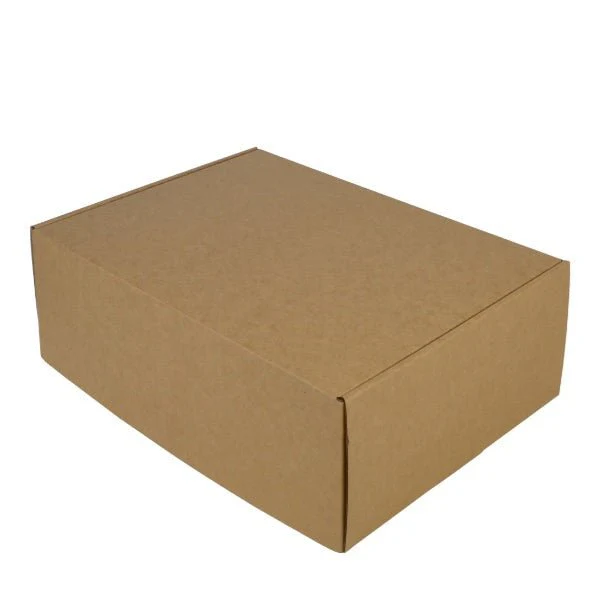 SAMPLE - E flute - One Piece Mailing Gift Box 28401