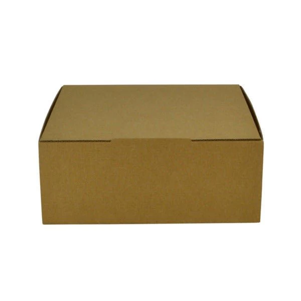 SAMPLE - E Flute - One Piece Postage & Mailing Box 19268 - Kraft Brown