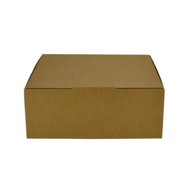 SAMPLE - E Flute - One Piece Postage & Mailing Box 19269 - Kraft Brown