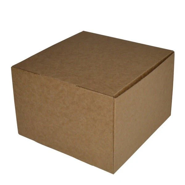 SAMPLE - E Flute - One Piece Postage & Mailing Box 20986 - Kraft Brown