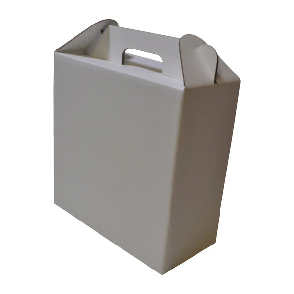 Surprise Delivery Box Large 8674 - Image 10