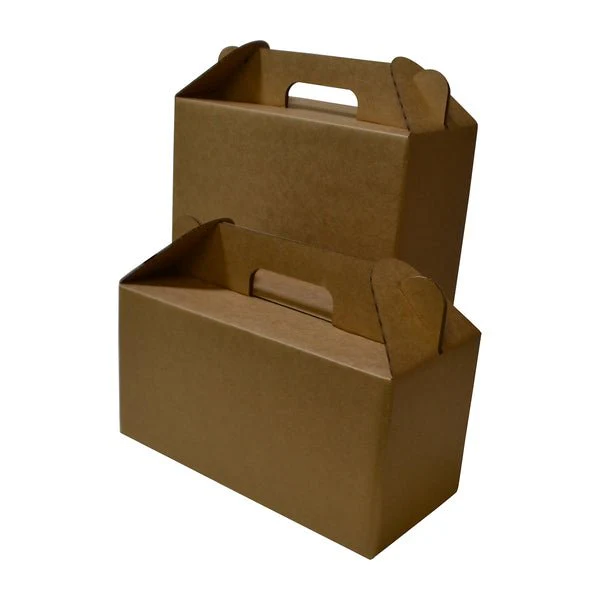 Surprise Delivery Box Large 8674 - Image 8