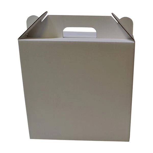 Surprise Delivery Box Large 8674 - Image 9