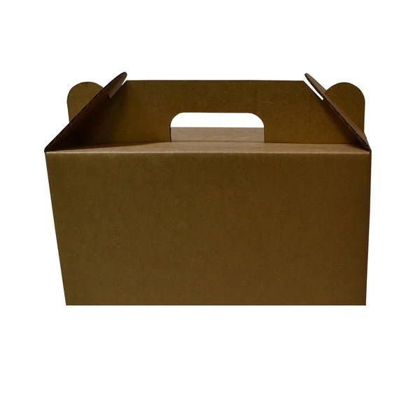 Surprise Delivery Box Small 8671 - Image 2