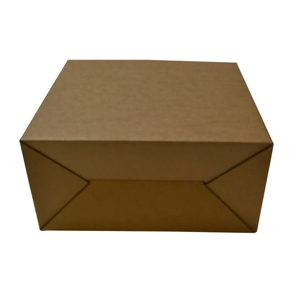 Surprise Delivery Box Small 8671 - Image 4