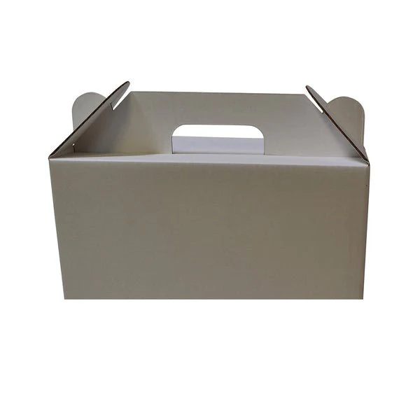 Surprise Delivery Box Small 8671 - Image 7